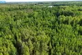 Działki  Petrauskai, Litwa