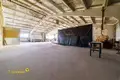 Производство 1 комната 500 м² в Логойском сельском Совете, Беларусь