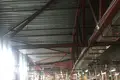 Magazyn 7 800 m² Bronnicy, Rosja