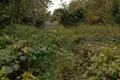 Grundstück 1 zimmer 3 000 m² Kielpiciener Kämpe, Polen
