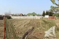 Земельные участки  Чернинский сельский Совет, Беларусь