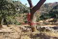 Parcelas 5 m² Kea Municipality, Grecia