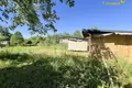 Дом 32 м² Олехновичский сельский Совет, Беларусь