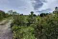 Land  Lustica, Montenegro