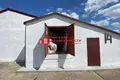 Produktion 978 m² Putryskauski sielski Saviet, Belarus