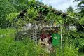 Haus 54 m² Puchavicki sielski Saviet, Belarus