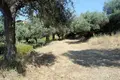 Земельные участки 1 комната  Aristotle Municipality, Греция