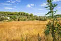 Atterrir 30 000 m² Kassandrino, Grèce
