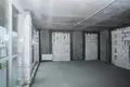 1 room apartment 52 m² Minsk, Belarus