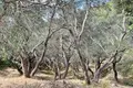 Atterrir  Glyfada, Grèce
