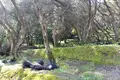 Land 1 room 7 000 m² Agios Dimitrios, Greece