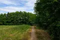 Parcelas 31 500 m² Buszewo, Polonia