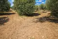 Atterrir 16 728 m² Neos Marmaras, Grèce