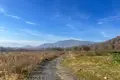 Земельные участки  Кварели, Грузия