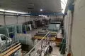 Warehouse 1 008 m² in Alicante, Spain