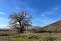 Земельные участки  Кварели, Грузия