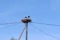   Пуховичский сельский Совет, Беларусь