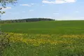 Cottage 138 m² in Ratomka, Belarus