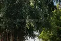 Mieszkanie 2 pokoi 82 m² Rawai, Tajlandia