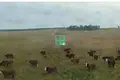 Działki  San Jorge, Urugwaj