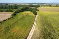 Parcelas 448 500 m² Lubowice, Polonia