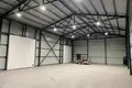 Gewerbefläche 3 309 m² in Rumbula, Lettland