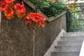 Mieszkanie 1 pokój 50 m² Petrovac, Czarnogóra