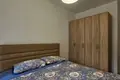 1 bedroom apartment 44 m² Montenegro, Montenegro