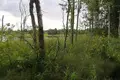 Parcelas  Jnkauski sielski Saviet, Belarús