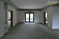 Cottage 517 m² in Minsk District, Belarus