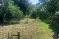 Grundstück  Sienicki sielski Saviet, Belarus