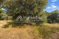 Parcelas 15 000 m² Nikiti, Grecia