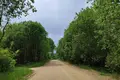 House 53 m² Nieharelski sielski Saviet, Belarus