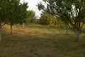 House 40 m² Damasycy, Belarus
