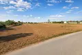 Land 10 000 m² Nea Triglia, Greece