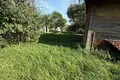 Haus 50 m² Dzitvianski sielski Saviet, Belarus