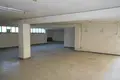 Propriété commerciale 866 m² à Spilia, Chypre