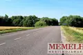 Działki  Zvelsenai, Litwa