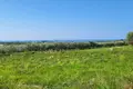 Land  Kastelir, Croatia
