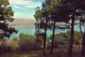 Atterrir 11 500 m² Tbilissi, Géorgie