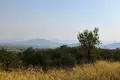 House 300 m² el Pinos Pinoso, Spain