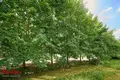 Apartamento 4 habitaciones 85 m² Minsk, Belarús