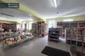 Gewerbefläche 701 m² Kedahnen, Litauen