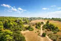 Atterrir 15 700 m² Siviri, Grèce