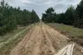 Land  Recycki sielski Saviet, Belarus
