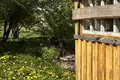 House 53 m² Pahost, Belarus