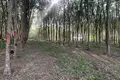 Land  Choeng Thale, Thailand