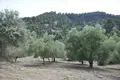 Grundstück 1 zimmer 12 150 m² Agios Nikolaos, Griechenland
