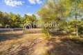 Parcelas 15 000 m² Nikiti, Grecia