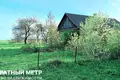 House  Turyn, Belarus